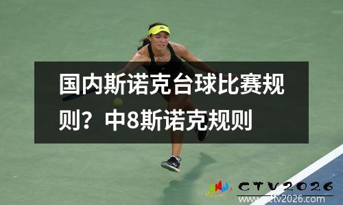 国内斯诺克台球比赛规则？中8斯诺克规则