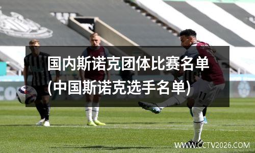 国内斯诺克团体比赛名单(中国斯诺克选手名单)