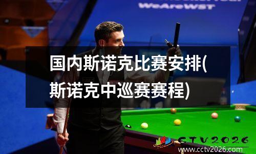 国内斯诺克比赛安排(斯诺克中巡赛赛程)