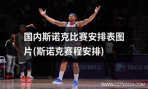 国内斯诺克比赛安排表图片(斯诺克赛程安排)