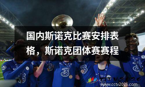 国内斯诺克比赛安排表格，斯诺克团体赛赛程