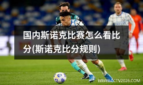 国内斯诺克比赛怎么看比分(斯诺克比分规则)