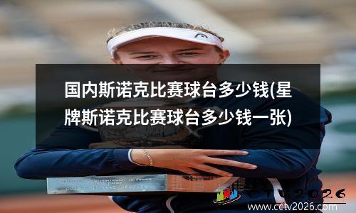 国内斯诺克比赛球台多少钱(星牌斯诺克比赛球台多少钱一张)