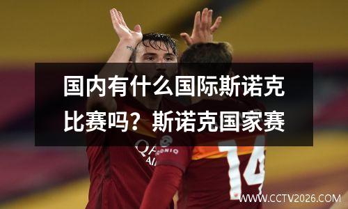 国内有什么国际斯诺克比赛吗？斯诺克国家赛
