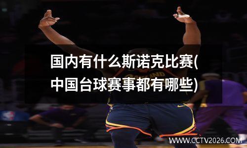 国内有什么斯诺克比赛(中国台球赛事都有哪些)