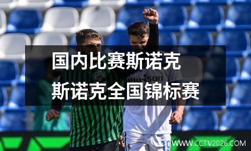 国内比赛斯诺克 斯诺克全国锦标赛