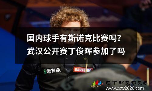 国内球手有斯诺克比赛吗？武汉公开赛丁俊晖参加了吗