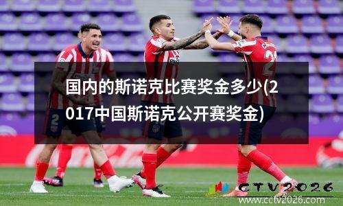 国内的斯诺克比赛奖金多少(2017中国斯诺克公开赛奖金)