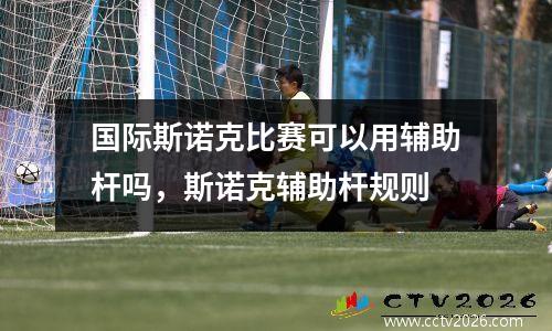 国际斯诺克比赛可以用辅助杆吗，斯诺克辅助杆规则