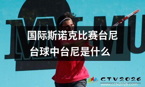 国际斯诺克比赛台尼 台球中台尼是什么