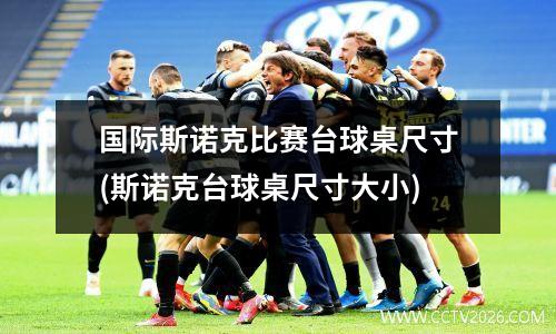 国际斯诺克比赛台球桌尺寸(斯诺克台球桌尺寸大小)