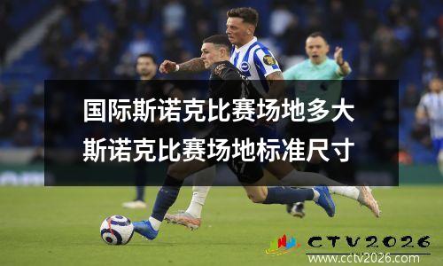 国际斯诺克比赛场地多大 斯诺克比赛场地标准尺寸