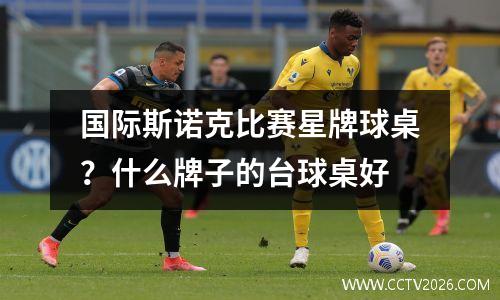 国际斯诺克比赛星牌球桌？什么牌子的台球桌好