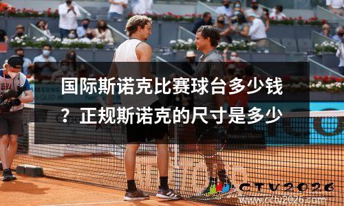 国际斯诺克比赛球台多少钱？正规斯诺克的尺寸是多少