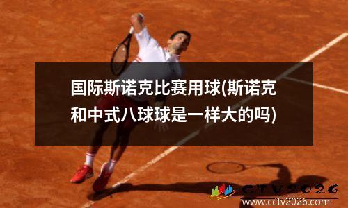 国际斯诺克比赛用球(斯诺克和中式八球球是一样大的吗)