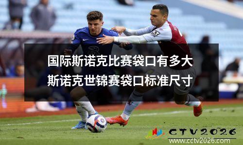 国际斯诺克比赛袋口有多大 斯诺克世锦赛袋口标准尺寸