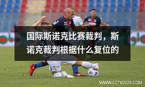国际斯诺克比赛裁判，斯诺克裁判根据什么复位的