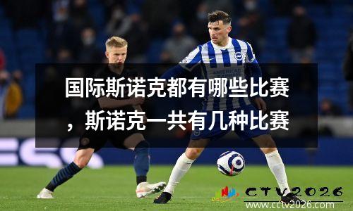 国际斯诺克都有哪些比赛，斯诺克一共有几种比赛