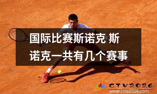 国际比赛斯诺克 斯诺克一共有几个赛事