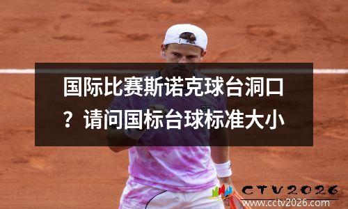 国际比赛斯诺克球台洞口？请问国标台球标准大小
