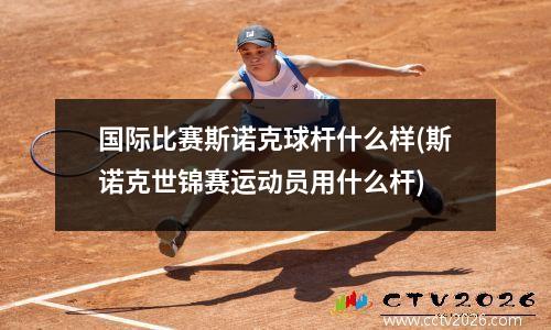 国际比赛斯诺克球杆什么样(斯诺克世锦赛运动员用什么杆)