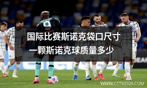 国际比赛斯诺克袋口尺寸 一颗斯诺克球质量多少