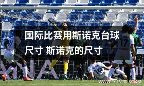 国际比赛用斯诺克台球尺寸 斯诺克的尺寸