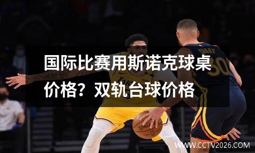 国际比赛用斯诺克球桌价格？双轨台球价格