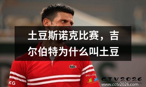 土豆斯诺克比赛，吉尔伯特为什么叫土豆