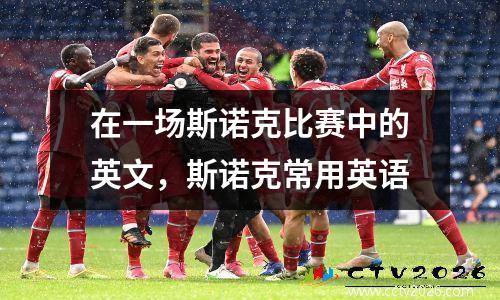 在一场斯诺克比赛中的英文，斯诺克常用英语