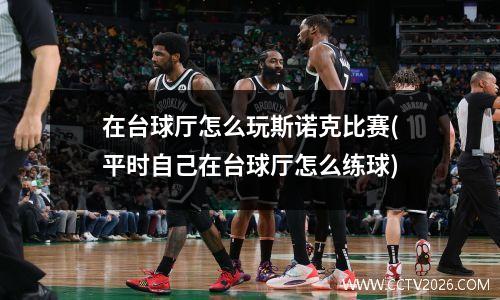 在台球厅怎么玩斯诺克比赛(平时自己在台球厅怎么练球)