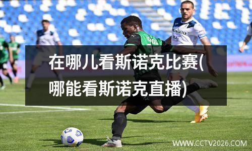 在哪儿看斯诺克比赛(哪能看斯诺克直播)