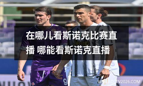 在哪儿看斯诺克比赛直播 哪能看斯诺克直播