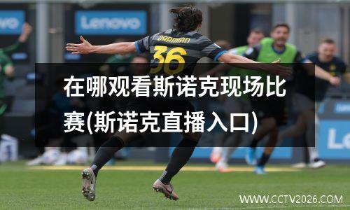 在哪观看斯诺克现场比赛(斯诺克直播入口)