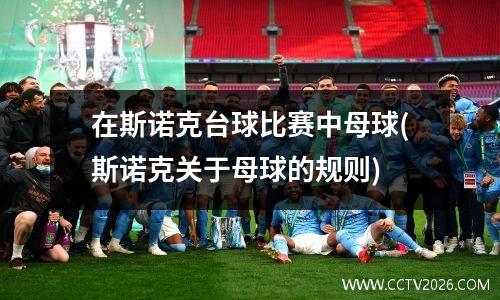 在斯诺克台球比赛中母球(斯诺克关于母球的规则)