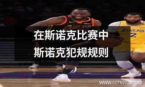 在斯诺克比赛中 斯诺克犯规规则