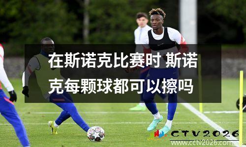 在斯诺克比赛时 斯诺克每颗球都可以擦吗