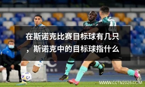 在斯诺克比赛目标球有几只，斯诺克中的目标球指什么