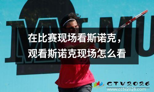 在比赛现场看斯诺克，观看斯诺克现场怎么看