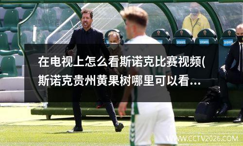 在电视上怎么看斯诺克比赛视频(斯诺克贵州黄果树哪里可以看)