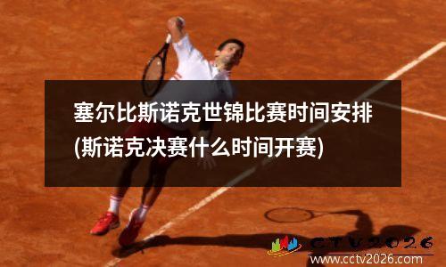 塞尔比斯诺克世锦比赛时间安排(斯诺克决赛什么时间开赛)