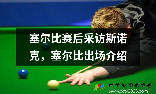 塞尔比赛后采访斯诺克，塞尔比出场介绍