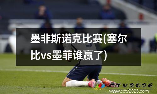 墨非斯诺克比赛(塞尔比vs墨菲谁赢了)