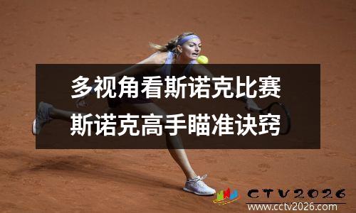 多视角看斯诺克比赛 斯诺克高手瞄准诀窍