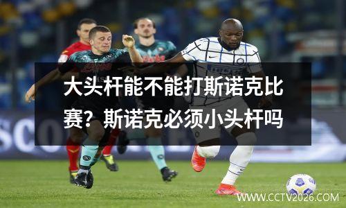大头杆能不能打斯诺克比赛？斯诺克必须小头杆吗