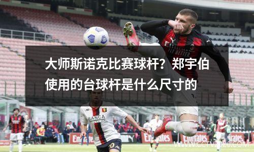 大师斯诺克比赛球杆？郑宇伯使用的台球杆是什么尺寸的