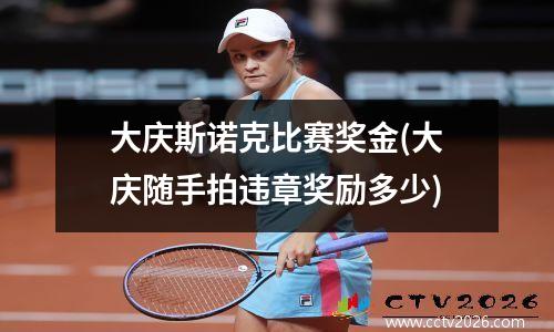 大庆斯诺克比赛奖金(大庆随手拍违章奖励多少)