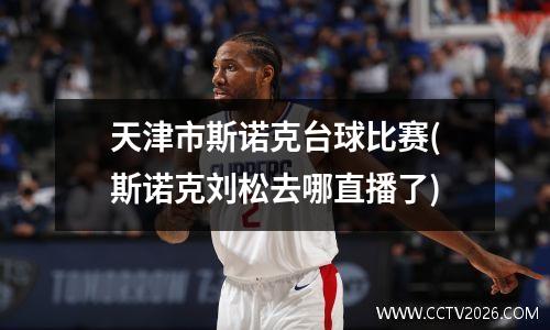 天津市斯诺克台球比赛(斯诺克刘松去哪直播了)