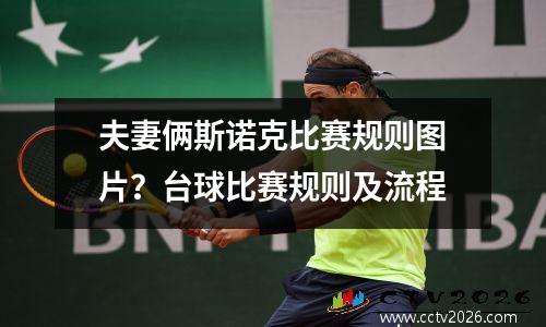 夫妻俩斯诺克比赛规则图片？台球比赛规则及流程