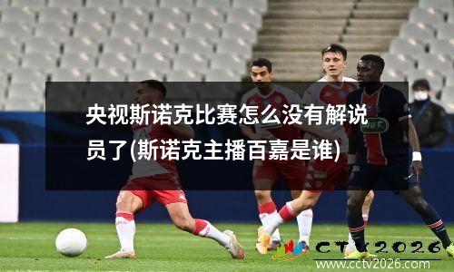 央视斯诺克比赛怎么没有解说员了(斯诺克主播百嘉是谁)